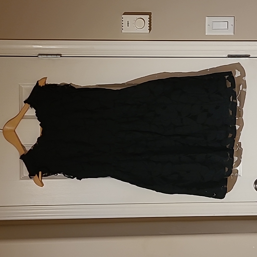 Little black lace dress. Size large. Pockets. Super cute and very comfortable.